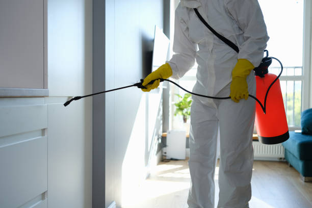 Best Certified Mold Removal  in Winter Garden, FL